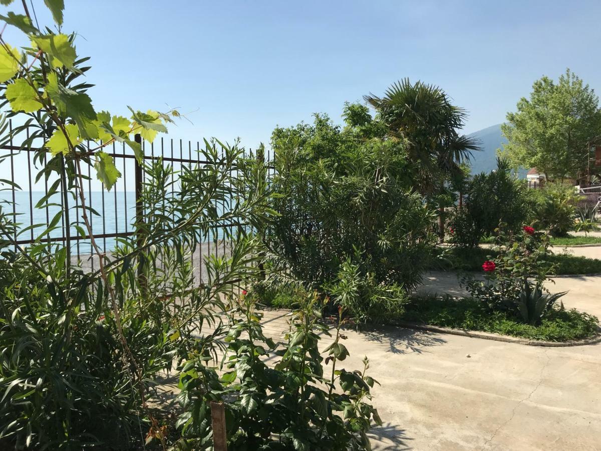 Davel Hotel Gagra Exterior foto